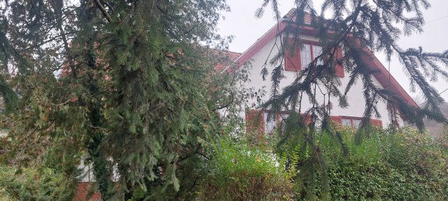 Eladó családi ház, Hőgyészen 35.5 M Ft, 7 szobás