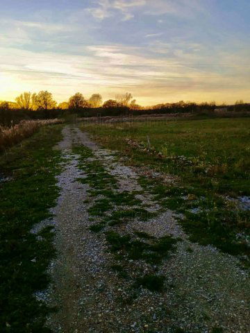 Kiadó ipari ingatlan, Nagykanizsán 1725 E Ft / hó