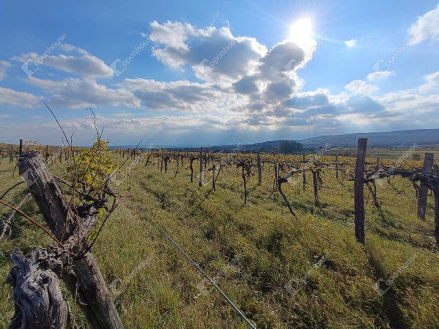 Eladó telek, Harkán 4.4 M Ft / költözzbe.hu