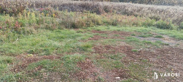 Eladó telek, Dömsödön 14.5 M Ft / költözzbe.hu
