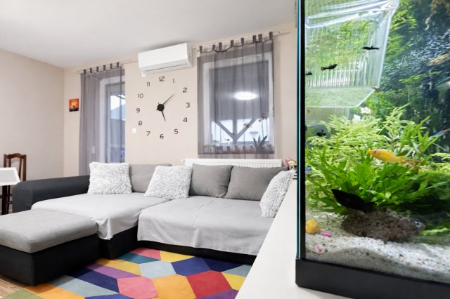 Eladó családi ház, Tökölön 78.9 M Ft, 3+1 szobás