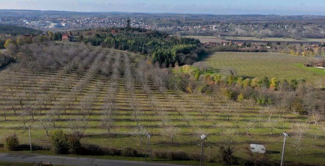Eladó mezogazdasagi ingatlan, Cserszegtomajon 59 M Ft