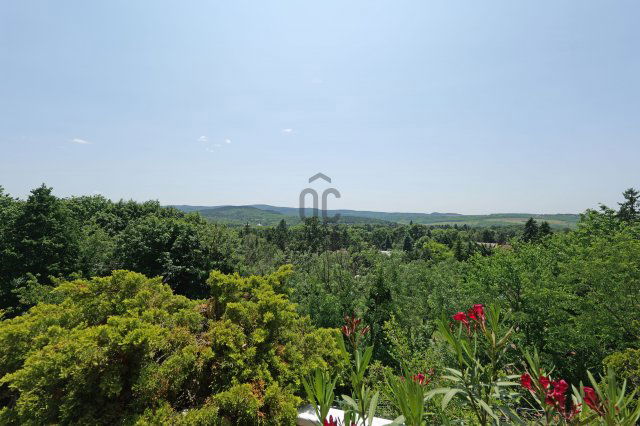 Eladó családi ház, Piliscsabán 265 M Ft, 5 szobás