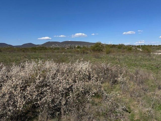 Eladó telek, Szentendrén 16.9 M Ft / költözzbe.hu