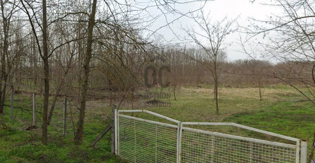 Eladó mezogazdasagi ingatlan, Kecskeméten 12.9 M Ft