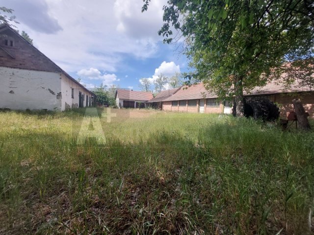 Eladó mezogazdasagi ingatlan, Szatymazon 25 M Ft