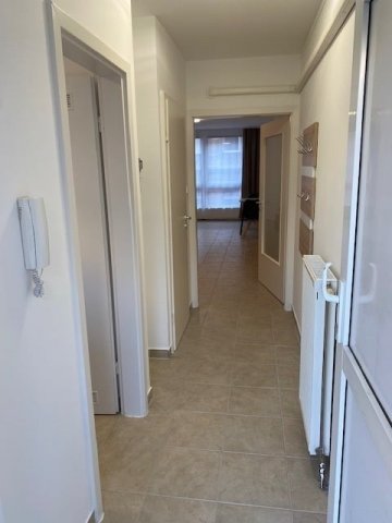 Kiadó téglalakás, albérlet, VIII. kerületben, Szeszgyár utcában