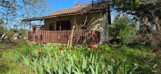 Eladó mezogazdasagi ingatlan, Szelevényen 4.2 M Ft, 1 szobás