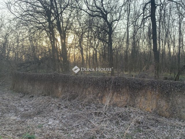 Eladó telek, Őrbottyánban 9.2 M Ft / költözzbe.hu