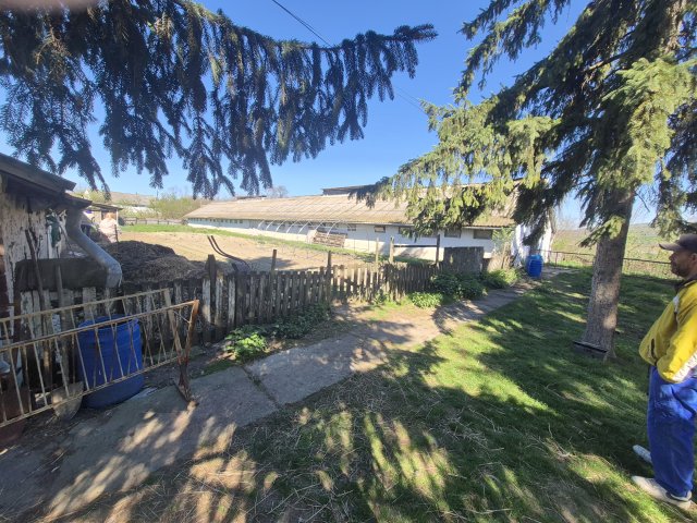 Kiadó ipari ingatlan, Galgagyörkön 70 E Ft / hó