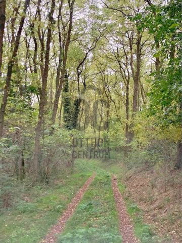 Eladó telek, Bocföldén 10.9 M Ft / költözzbe.hu