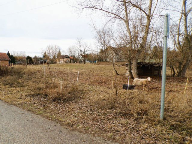 Eladó telek, Szigetmonostorban 25.9 M Ft / költözzbe.hu