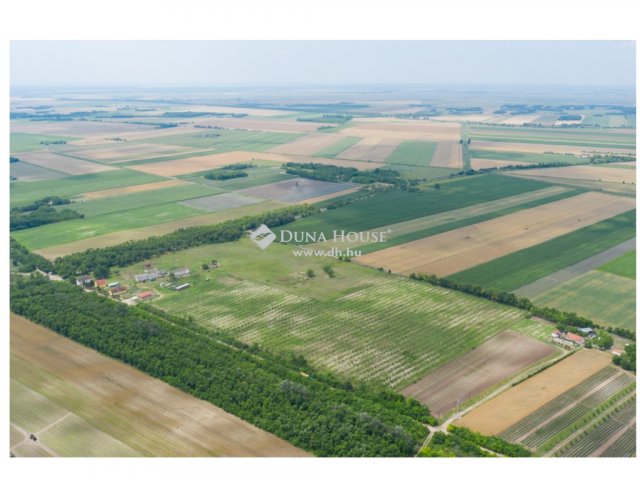 Eladó mezogazdasagi ingatlan, Kunadacson 250.941 M Ft, 4 szobás