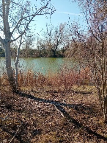 Eladó telek, Gyomaendrődön 14.5 M Ft / költözzbe.hu