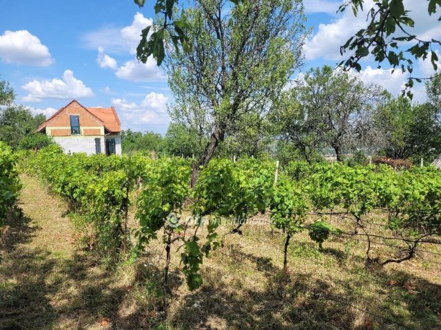 Eladó családi ház, Balatonalmádiban 158 M Ft, 3+2 szobás