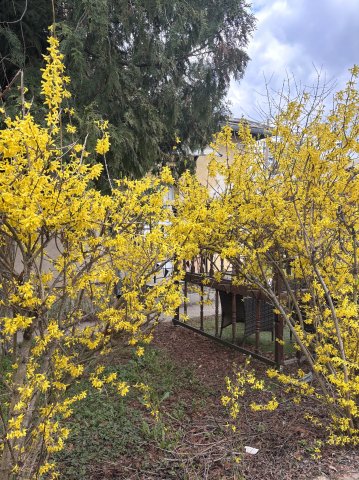 Eladó családi ház, Budapesten, III. kerületben 119.9 M Ft