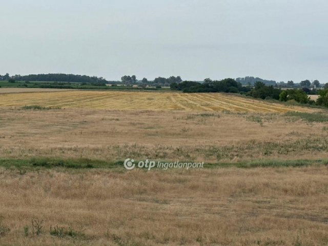 Eladó mezogazdasagi ingatlan, Deszken 98.5 M Ft