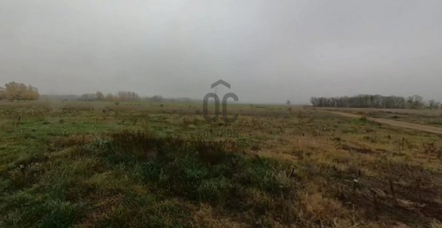 Eladó mezogazdasagi ingatlan, Szadán 7.5 M Ft