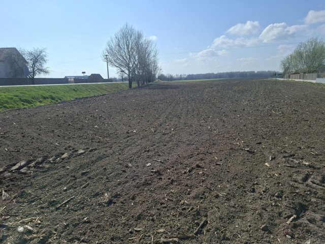 Eladó telek, Taksonyon 165 M Ft / költözzbe.hu