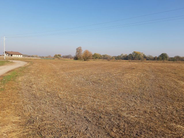 Eladó telek, Kiskunhalason 17 M Ft / költözzbe.hu