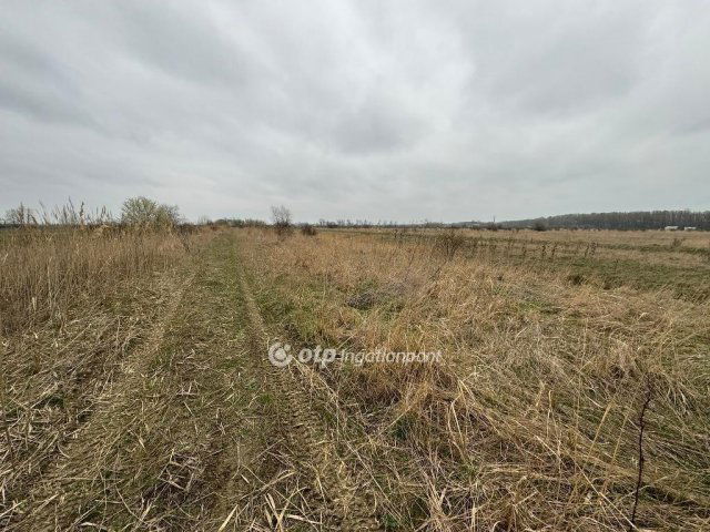 Eladó telek, Kiskörén 3.5 M Ft / költözzbe.hu