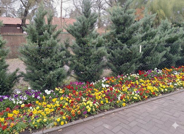 Eladó családi ház, Szigetmonostorban 89 M Ft, 3 szobás