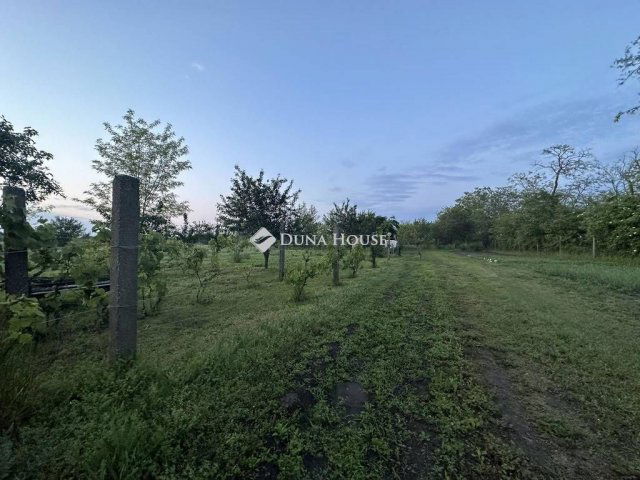 Eladó telek, Mezőfalván, Diófa soron 23.7 M Ft