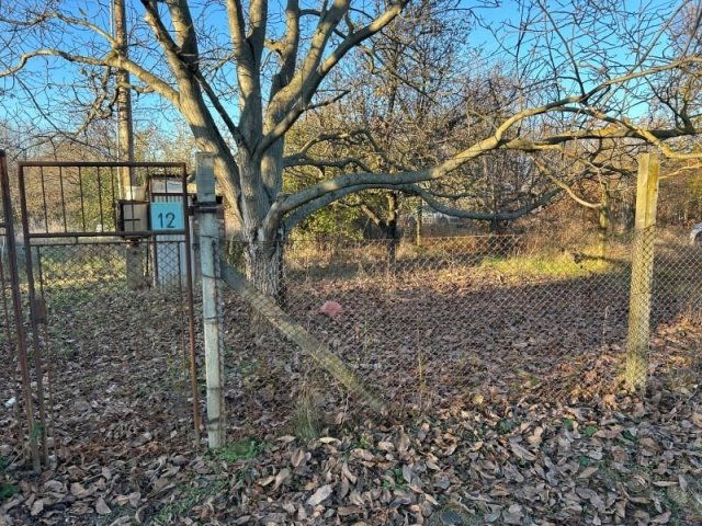 Eladó mezogazdasagi ingatlan, Szegeden 13.9 M Ft