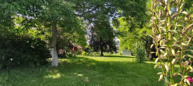 Eladó telek, Kéthelyen 25 M Ft / költözzbe.hu