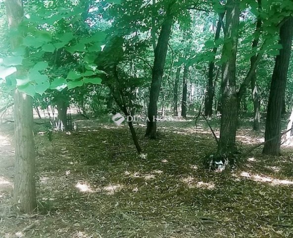 Eladó mezogazdasagi ingatlan, Terényen 1.95 M Ft
