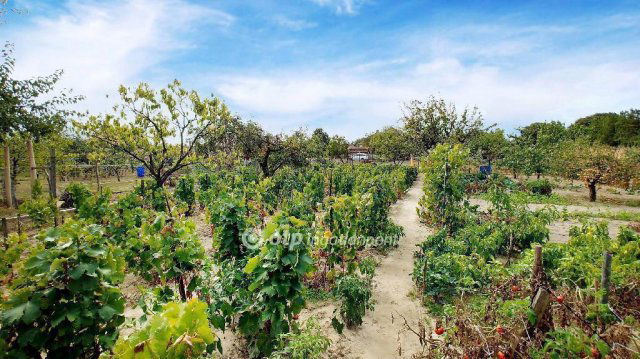 Eladó családi ház, Abonyban 19.99 M Ft, 2+1 szobás