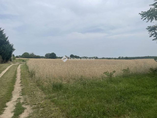 Eladó telek, Kecskeméten 9.9 M Ft / költözzbe.hu
