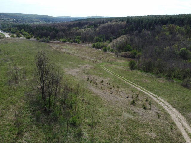 Eladó mezogazdasagi ingatlan, Isaszegen 39 M Ft