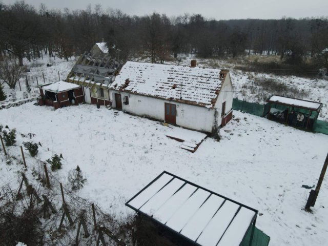 Eladó mezogazdasagi ingatlan, Bazsiban 39.9 M Ft