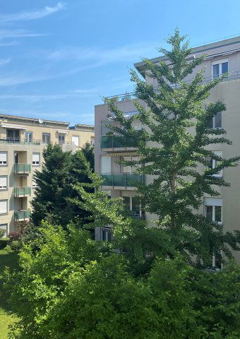 Kiadó téglalakás, albérlet, XII. kerületben, Dolgos utcában