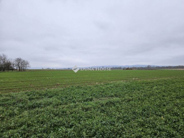 Eladó telek, Csóton 5 M Ft / költözzbe.hu
