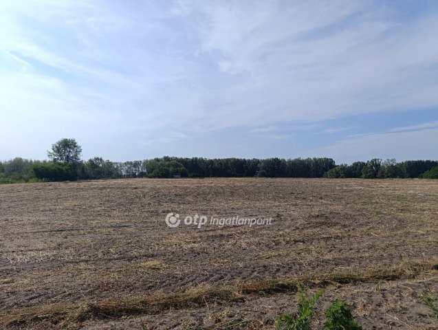 Eladó mezogazdasagi ingatlan, Pusztamérgesen 23.7 M Ft