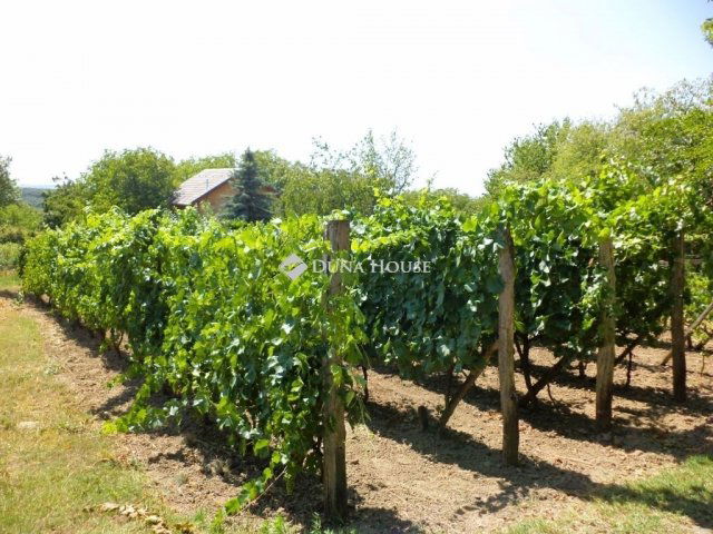 Eladó mezogazdasagi ingatlan, Lovasberényben 134.7 M Ft, 4 szobás