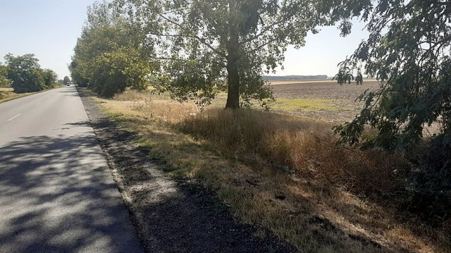 Eladó mezogazdasagi ingatlan, Hajdúszováton 120 M Ft
