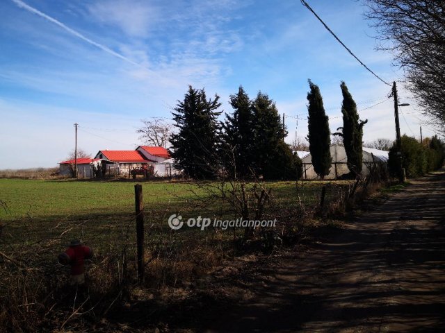 Eladó mezogazdasagi ingatlan, Kecskeméten 39 M Ft