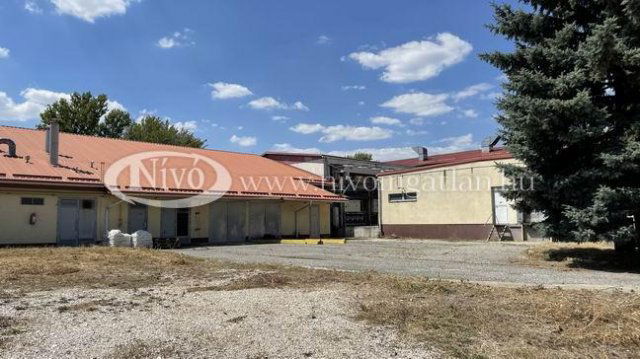 Eladó mezogazdasagi ingatlan, Veszprémben 880 M Ft