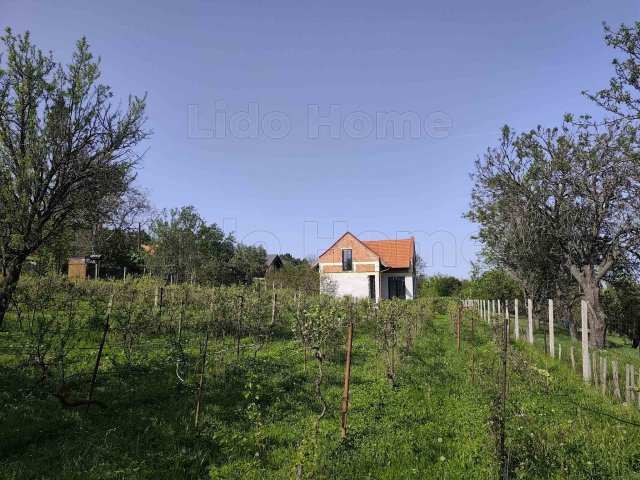 Eladó mezogazdasagi ingatlan, Balatonalmádiban 181.1 M Ft