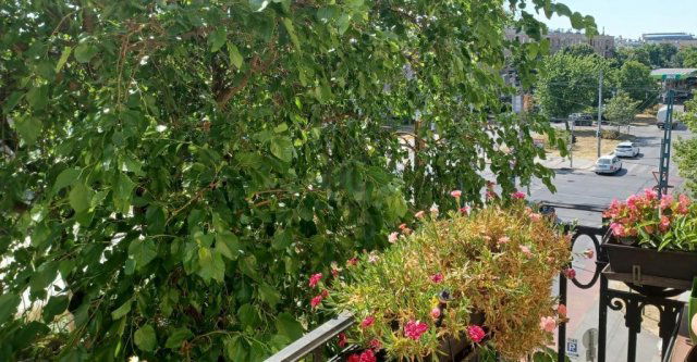 Eladó téglalakás, Budapesten, XIV. kerületben 104.9 M Ft