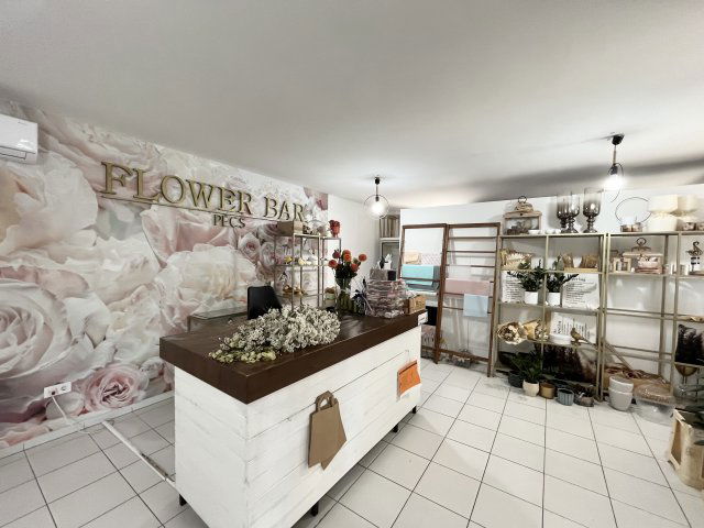 Eladó üzlethelyiség, Pécsett, Szigeti úton 0.2 M Ft, 2 szobás