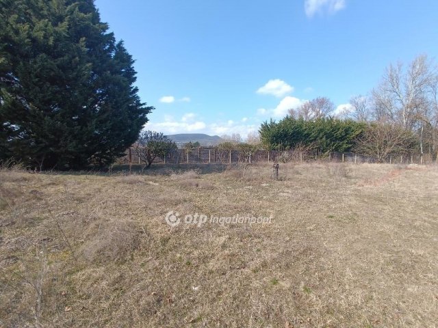 Eladó családi ház, Szigetmonostorban 250 M Ft, 4 szobás