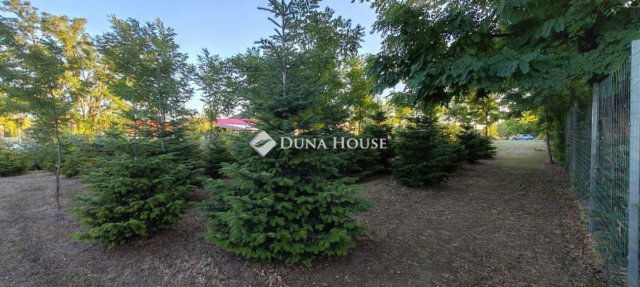 Eladó telek, Dabason 32 M Ft / költözzbe.hu