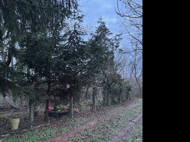 Eladó nyaraló, Kókán 10.9 M Ft, 2 szobás / költözzbe.hu