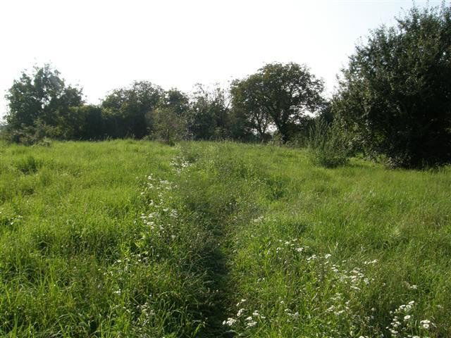 Eladó telek, Kaposváron 27.5 M Ft / költözzbe.hu