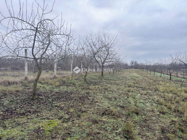 Eladó telek, Nyíregyházán 8.3 M Ft / költözzbe.hu