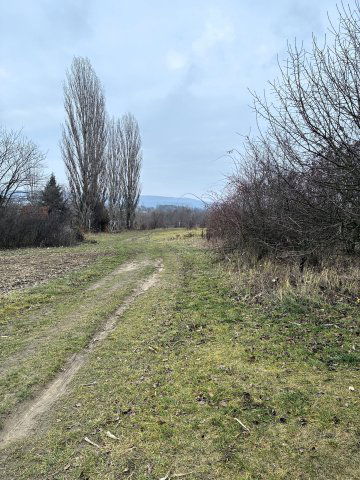 Eladó telek, Gödöllőn 19.9 M Ft / költözzbe.hu